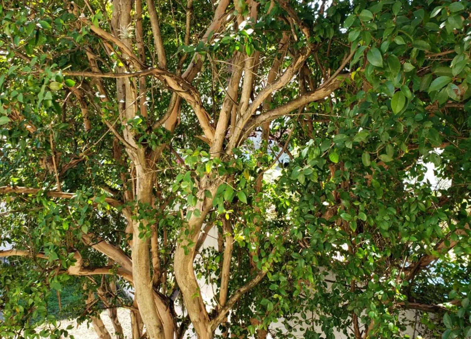 Pousada Monte Gerizim São Paulo Brasil