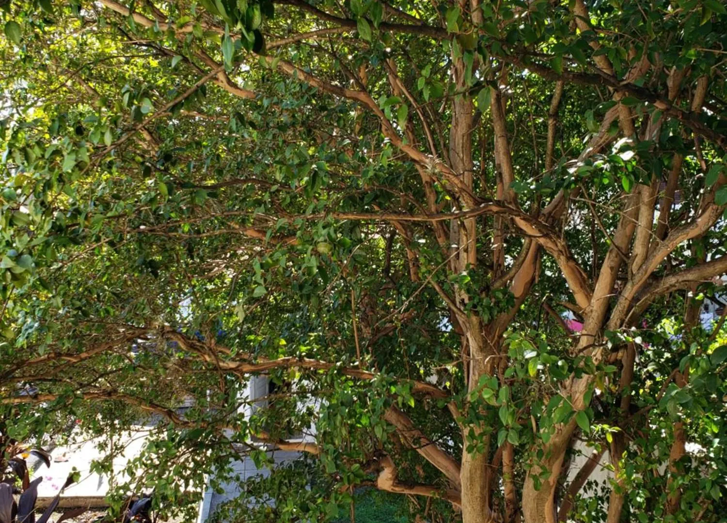 Pousada Monte Gerizim São Paulo 0*,  Brasil